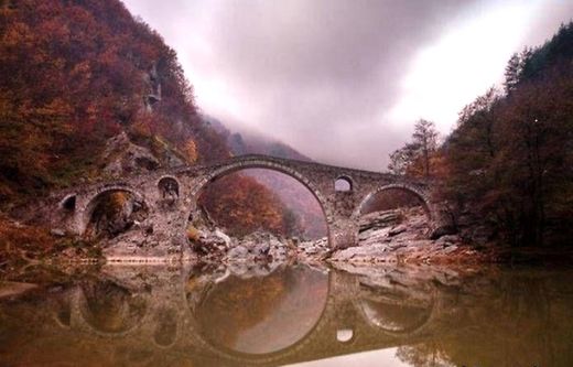 Clicare per ingrandire Immagine
