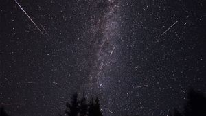 Meteoriti Stelle cadenti notte