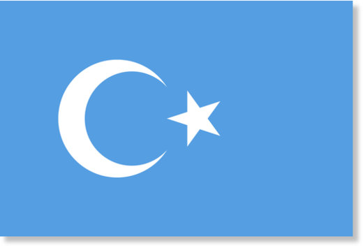 La bandiera del 'Turkestan Orientale' 