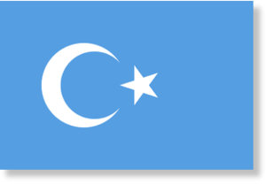 La bandiera del 'Turkestan Orientale' 