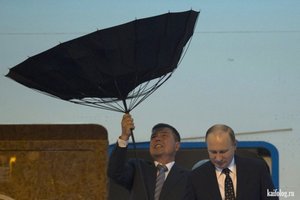 Putin umbrella
