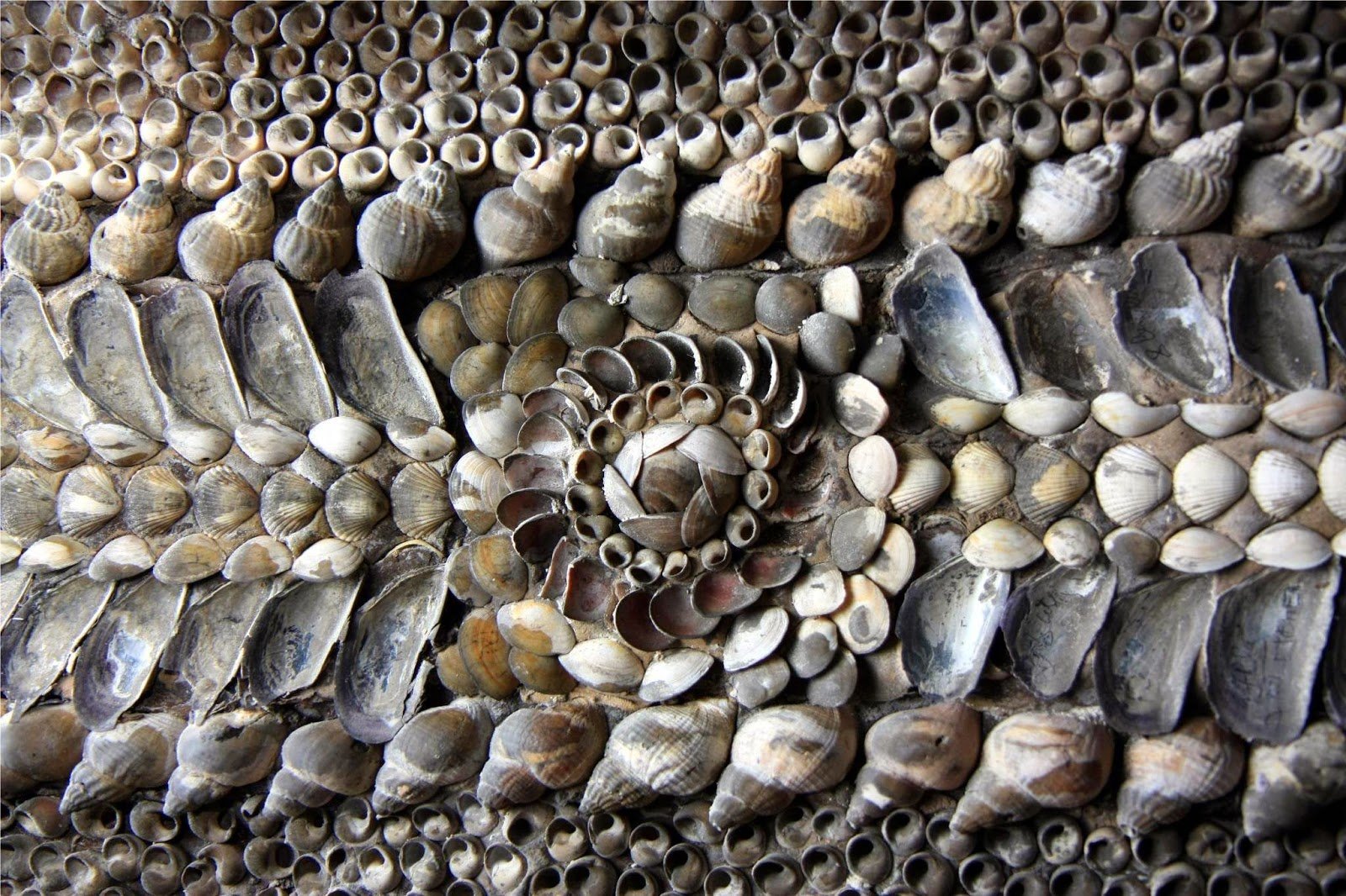 margate shell