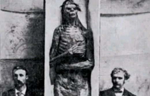 mummia gigante