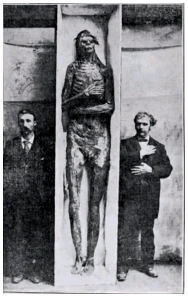 foto mummia gigante