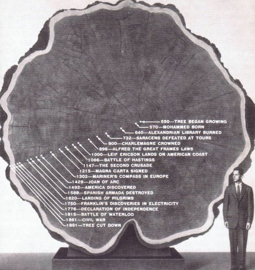 Dendrochronology