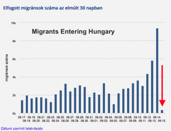 diagramma ingresso dei migranti in europa