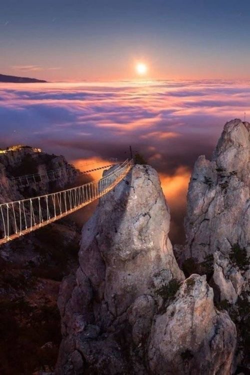 Bridge and fog