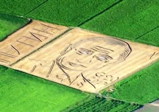 Putin Cerchio nel grano cropcircle