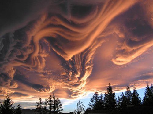 Asperatus formation, Canterbury, New Zealand