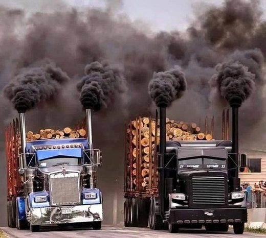 Eco friendly trucks