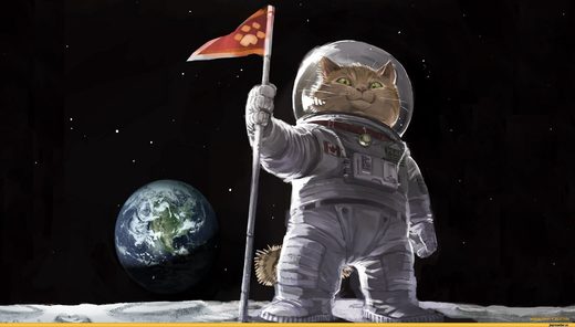 Maine Coon Mine Moon