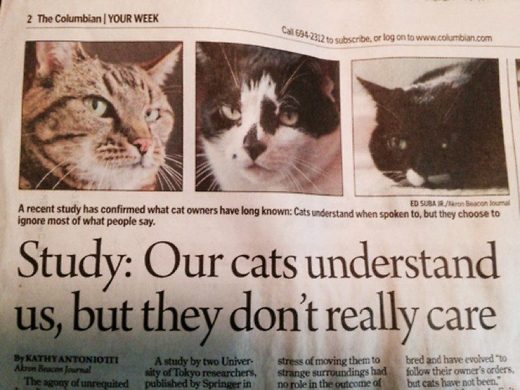 Our cats understand us but they do not really care