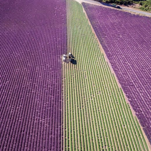 Drone photography