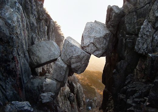 Immortal bridge