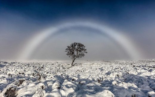 FOG BOW on Rannoch Moor