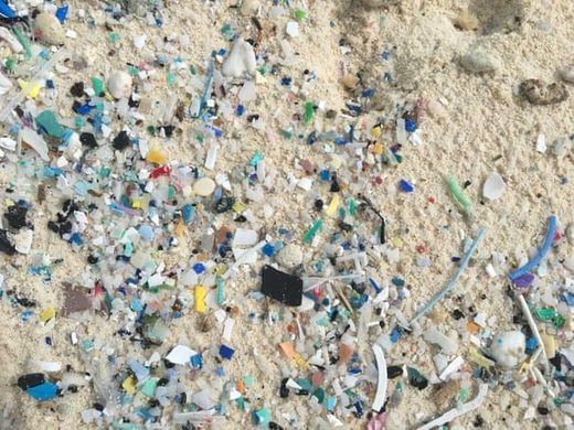 Microplastics on South Island of Coco Islands