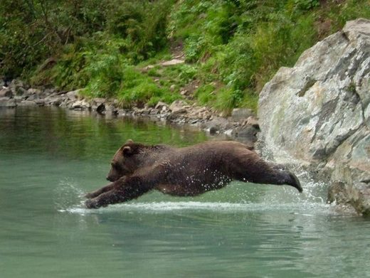 Clicare per ingrandire Swimming is good for you