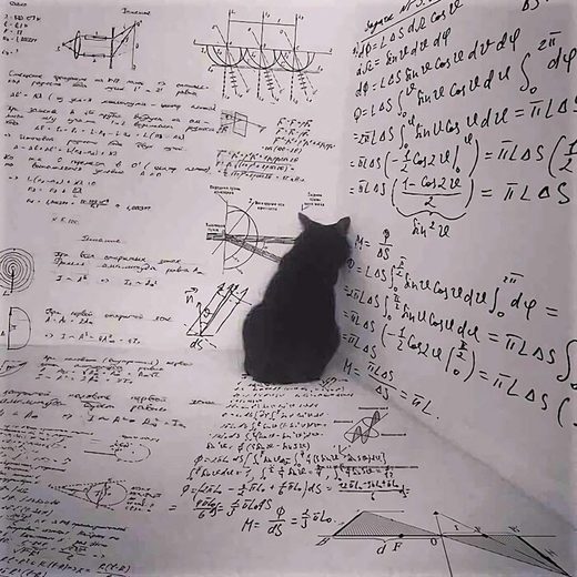 Clicare per ingrandire Schrodinger's cat plans its revenge