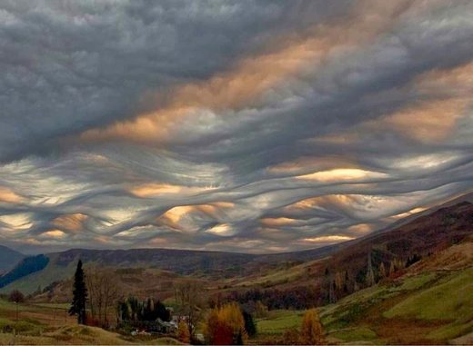 Clicare per ingrandire Asperatus