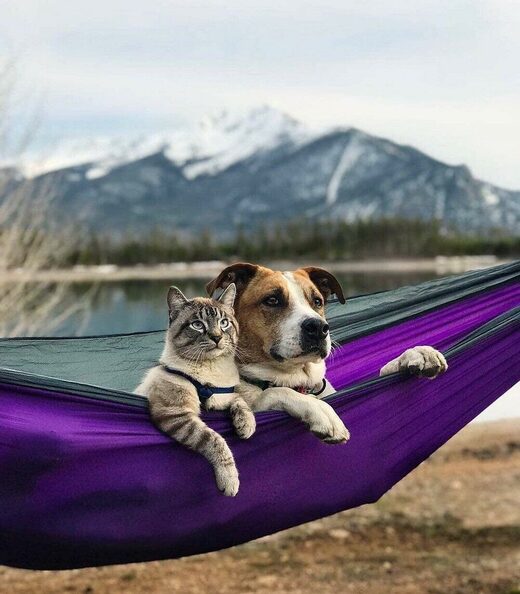 Clicare per ingrandire Friends forever